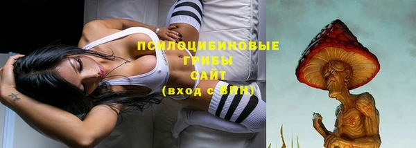 spice Абинск