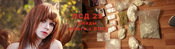 твердый Абаза