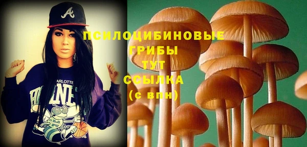spice Абинск