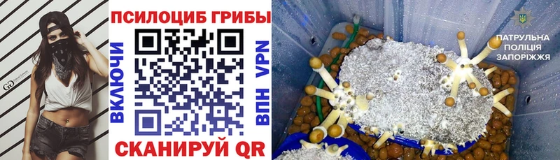 Псилоцибиновые грибы GOLDEN TEACHER  хочу наркоту  Знаменск 