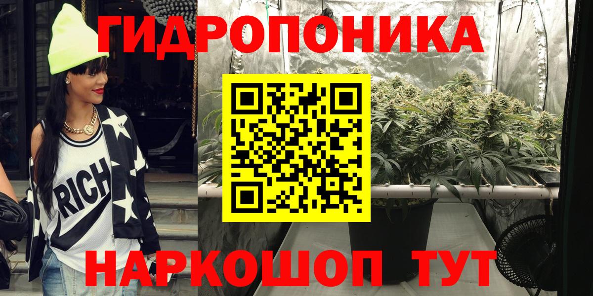 Конопля гибрид  Каннабис конопля  Бошки Шишки план  Знаменск  Вход с VPN  Конопля семена 